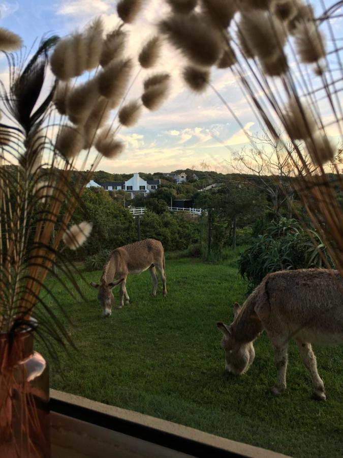 Soutelande Country Stay - Close To 1#Beach In Pe Port Elizabeth Exterior foto