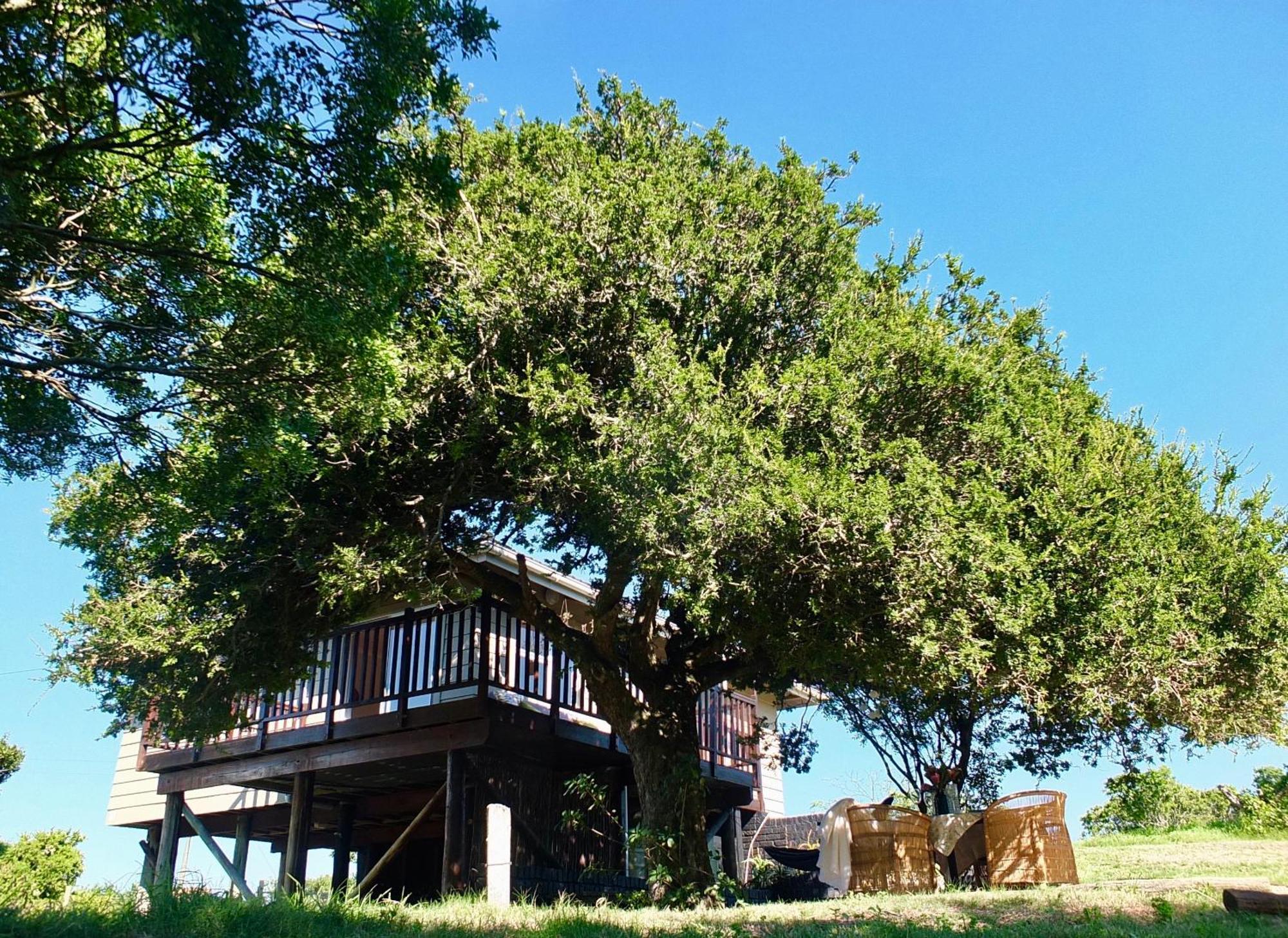 Soutelande Country Stay - Close To 1#Beach In Pe Port Elizabeth Exterior foto