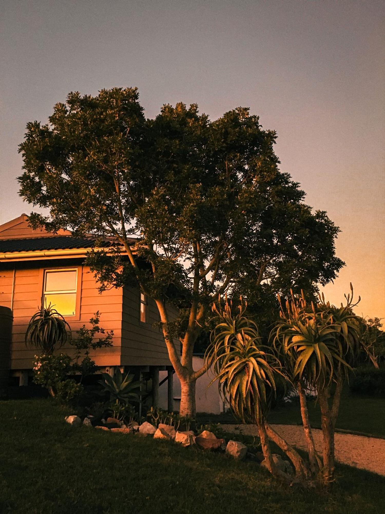 Soutelande Country Stay - Close To 1#Beach In Pe Port Elizabeth Exterior foto