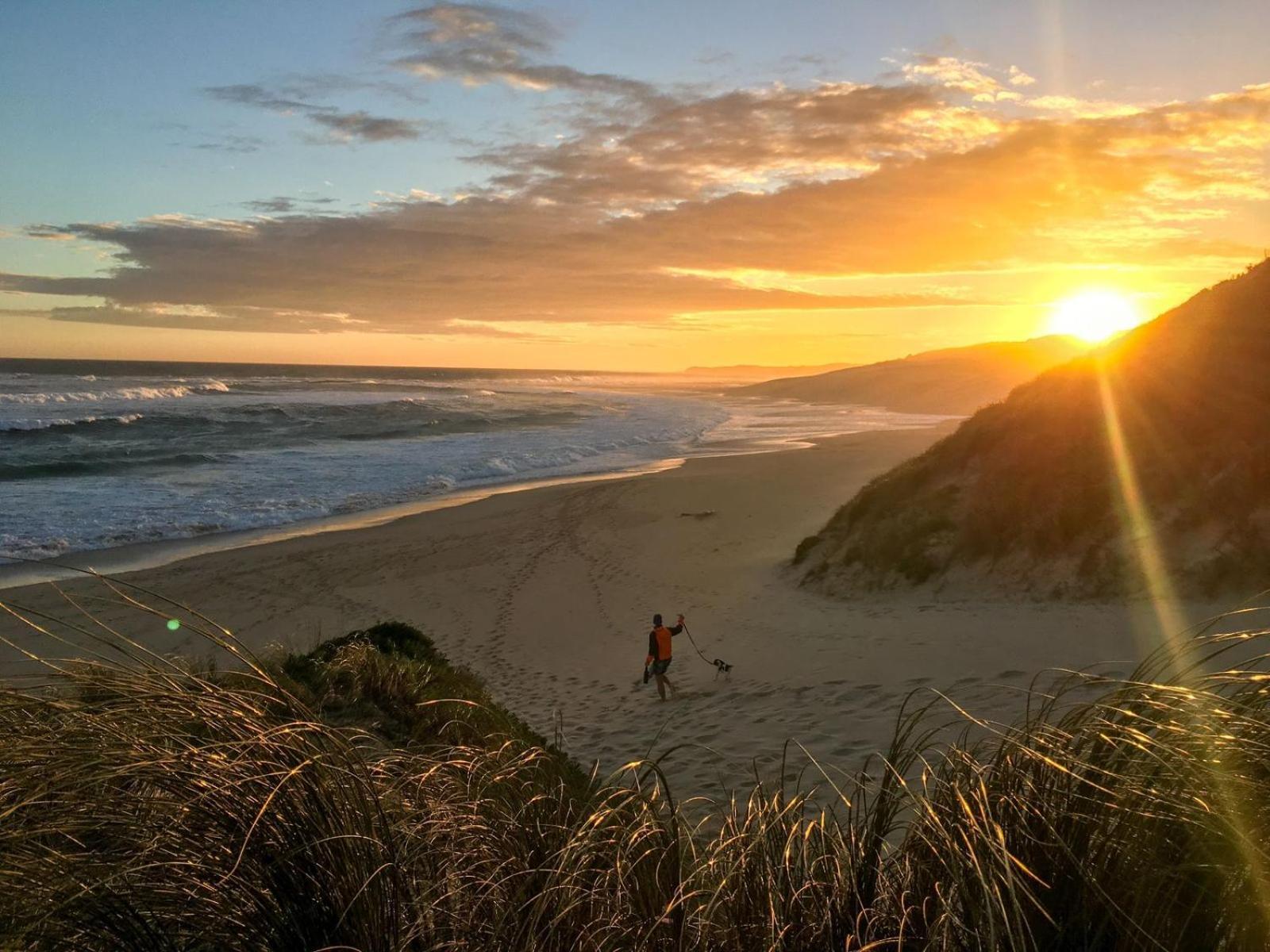 Soutelande Country Stay - Close To 1#Beach In Pe Port Elizabeth Exterior foto